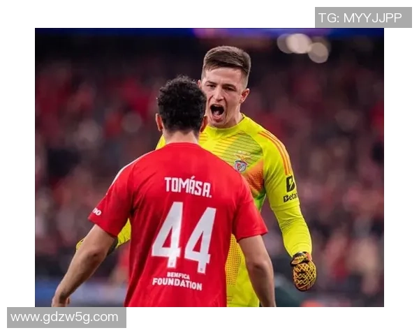 西甲精彩对决切尔西4-0本菲卡十大进球瞬间引发全场狂欢 西甲精彩对决切尔西4-0本菲卡十大进球瞬间引发全场狂欢